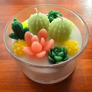 Succulent Candle in Glass Holder